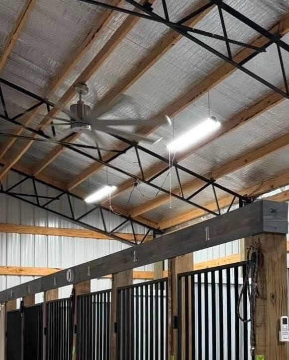 A bright view down the barn aisle with black kennel gates, warm wood posts and a tall metal-truss ceiling.